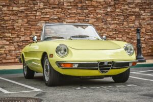  Classic Car Ownership